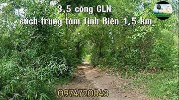 3500m² CLN Lò Rèn phường Tịnh Biên ô tô tới đất | 4xxtr/ công | Nhà đất Tịnh Biên - An Giang