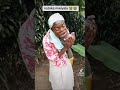 Bwanangu Alinipiga Ju Nilimnyima Ugali Pombe Inamfanya Ivo Shortvideos Funny Shortsfeed Come