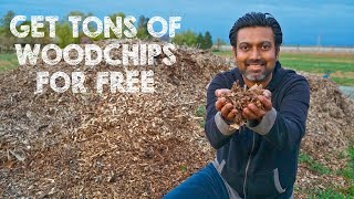 How to Get TONS of WOOD CHIPS for FREE