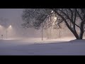 Winter Storm Ambience with Icy Howling Wind Sounds for Sleeping, Relaxing   ASMR By Pavingos 2021🌨💨