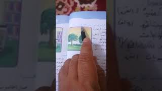 قواعد اللغة العربية ((المبتدأ والخبر)) الصف السادس الابتدائي