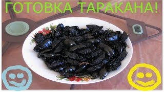 ЧЕЛЛЕНДЖ!ПОЕДАНИЕ И ПРИГОТОВЛЕНИЕ ЧЁРНЫХ ТАРАКАНОВ//ПРАВДА ИЛИ ЛОЖЬ// ЧЕЛЛЕНДЖ!ПОЕДАНИЕ И ПРИГОТОВЛЕНИЕ ЧЁРНЫХ ТАРАКАНОВ//ПРАВДА ИЛИ ЛОЖЬ//