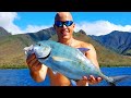 Fishing & Eating Them Raw on a Boat!! (Epic Sushi)