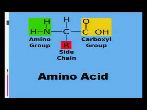 Bio class12 unit 06 chapter 08 genetics and evolution- molecular basis of inheritance  Lecture -8/12