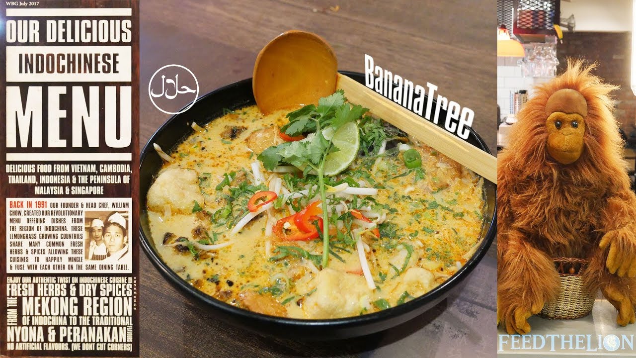 Banana Tree PanAsian restaurant in Westbourne Grove, London YouTube