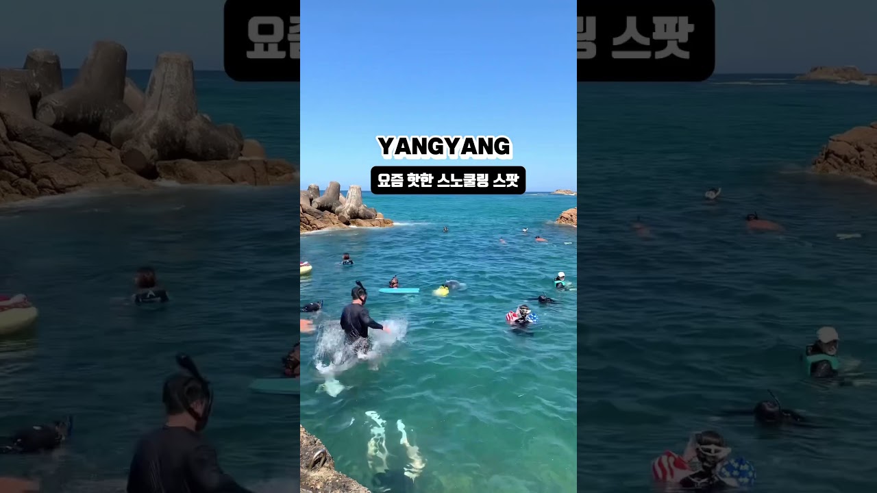 양양 하조대전망대 3m 스노쿨링스팟               #양양여행 #양양스노쿨링 #양양해변 #강릉여행 #shorts