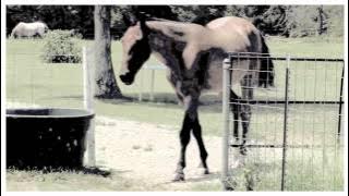 ; But with the Beast Inside