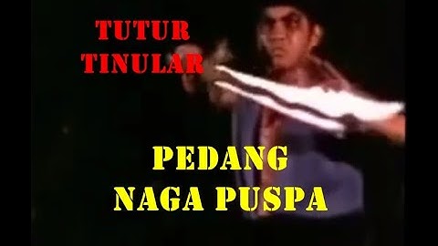 Pedang Naga Puspa | Tutur Tinular 3