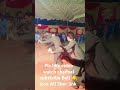 1 November 2024 Barbala vlog Attock deshi Panjabi Dhol Beats Shehnai Bhangra Dance bhojpuri Zebi new