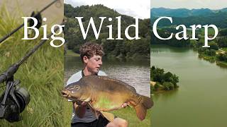 Carp Fishing Adventure - Catching BIG Wild Carp in a Huge Lake