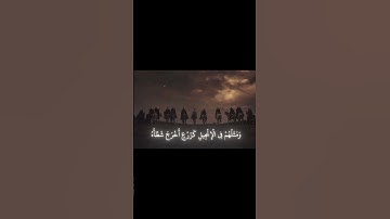 محمد رسول الله | سورة الفتح 29 | محمد اللحيدان