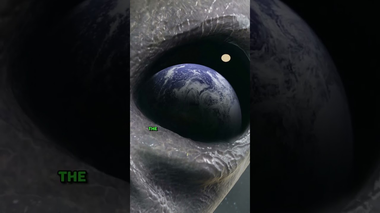 The Societal Impact of Confirming Extraterrestrial Life - Joe Rogan Podcast