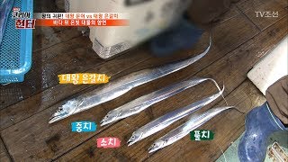 1m가 넘는 대왕 은갈치를 잡은 헌터! [뉴 코리아 헌터] 54회 20170612