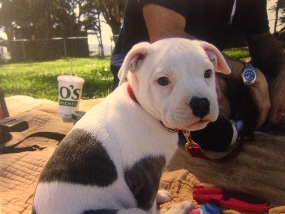 A very maverick christmas