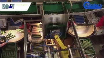 KOAT - Lenders - Komkommer inpakrobot