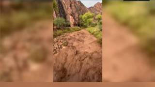Two killed, more than 80 rescued after Grand Canyon flood