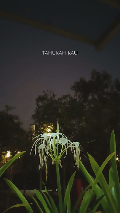 selepas kau pergi #youtubeshorts #shortsyoutube #laluna