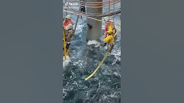 scaffolding in offshore