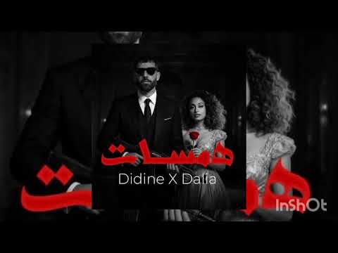 Didin Canon X Dalia همسات Music Officielle Audio NOMZ KROOS