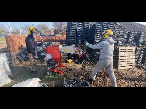 Профессиональная обрезка деревьев.