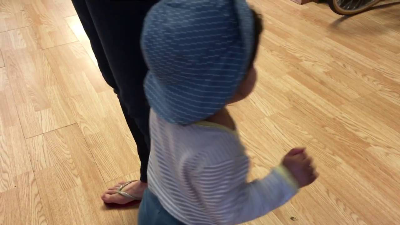 Hansa Coffee in Libertyville