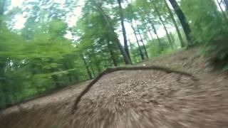 forest - slow and (not really) steady fpv [uncut]