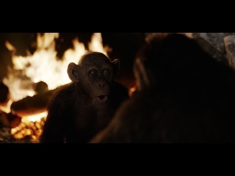 A majmok bolygója: Háború