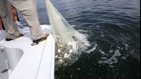 Slow-motion cast net LOADED with bait