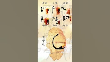 甲骨文有大智慧