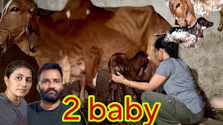 EK RAAT ME DO BABIES AA GYE