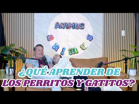 ¿QUÉ APRENDER DE LOS PERRITOS Y LOS GATITOS? | ANIMUS