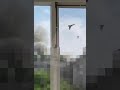 Днепр сегодня взрыв