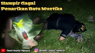 Terpental Hampir Gagal, Saat pengambilan batu mustika