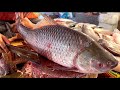 Expert Cutter Cleaning &amp; Cutting A Big Rohu Fish In Bangladesh Fish Market