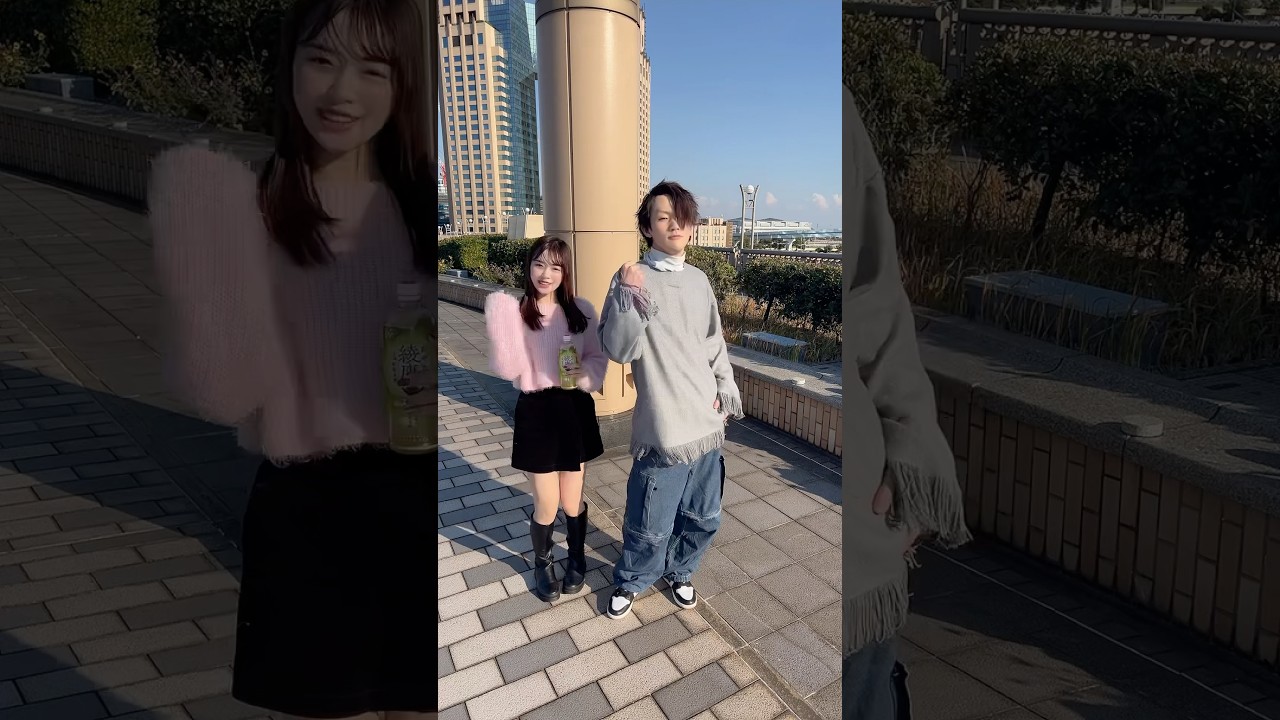 レア本の纏め売り 耳をすませば ロマンアルバム,C·M-C BOX,パンフ レア【