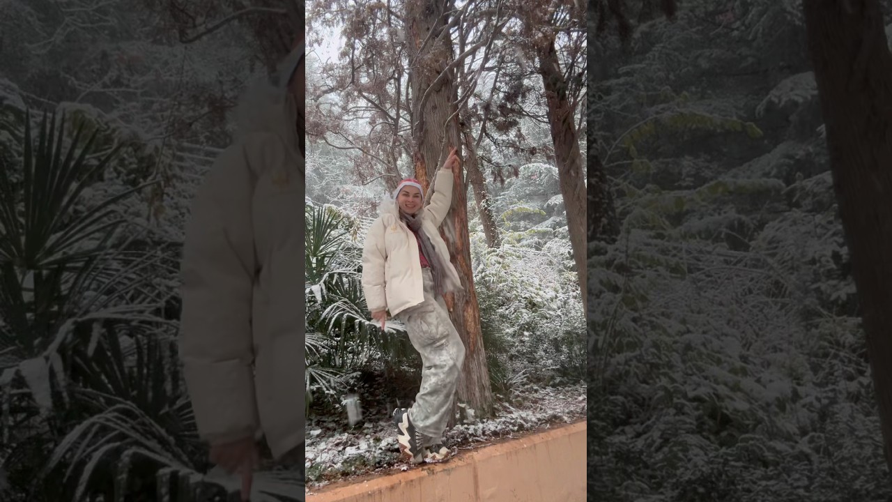 С Новым 2026 годом! 🎄🎄🎄