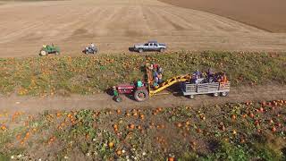 Kurtz Pumpkin Harvest 2017