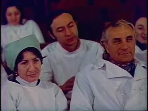 \'არასერიოზული კაცი\' - ნიკოს ისტორია (ARASERIOZULI KACI)