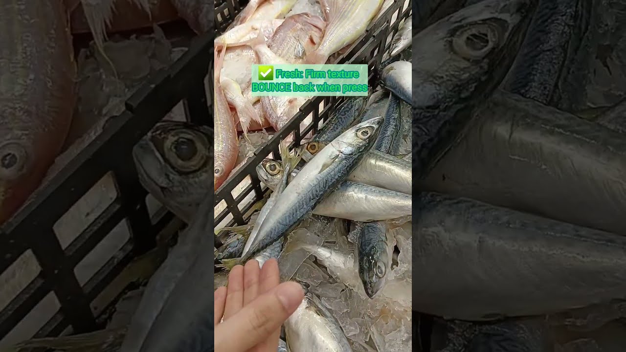 How to Choose Fresh Fish [Learn with EGB]