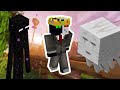 Ranboo Is Half Enderman And Half Ghast (Dream SMP)