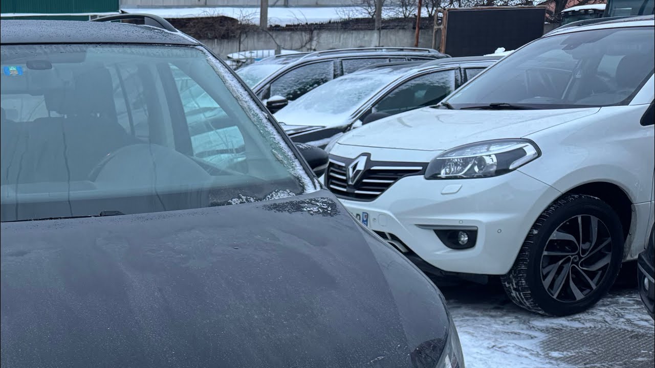 Оновлення На Майданчику з Швейцарії 🇨🇭?