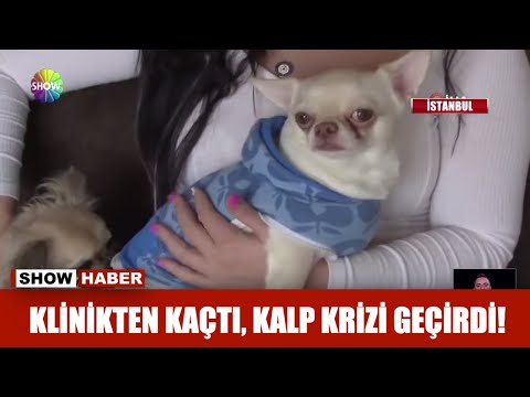 Klinikten kaçtı, kalp krizi geçirdi!