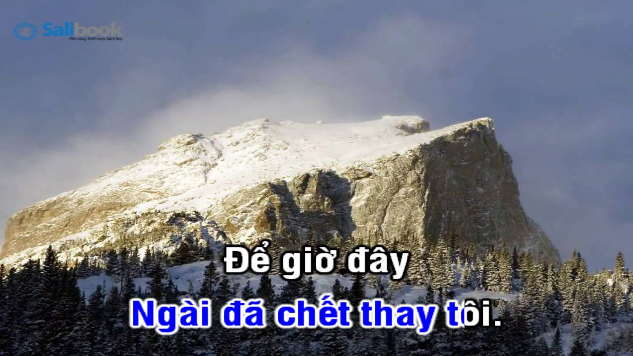 [Karaoke TVCHH] 304- CON ĐƯỜNG SỰ SỐNG - Salibook