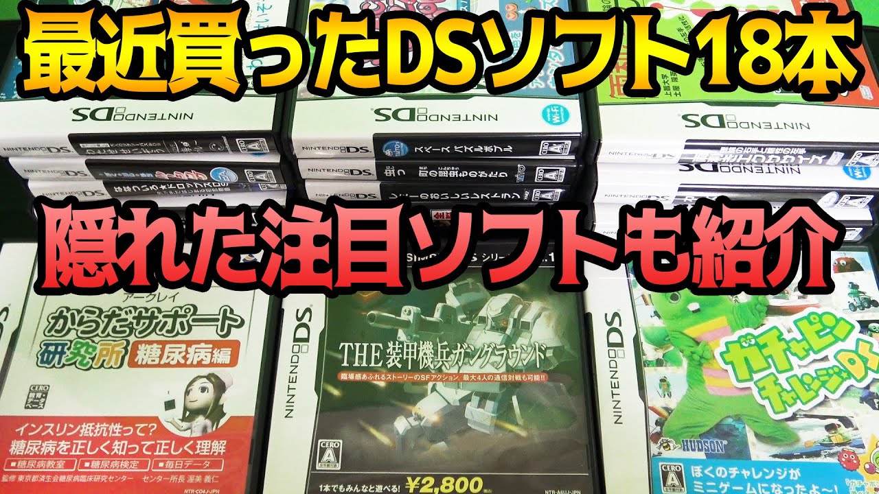 DSソフト いろいろ DS屈指の裏レアソフト&最近買った注目ソフト18本【コアラの