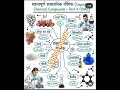 chemical compounds yaad kare #chemistry #exam