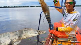 Ketemu Buaya Saat Mancing Udang Galah!! Nyata Pasti Dapat Udang Galah