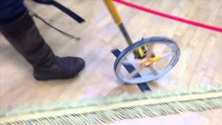 WORLD RECORD CORN DOLLY