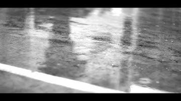 The Animal State - Elephant (Music Video)