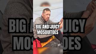 Mosquitoes Were Annoying