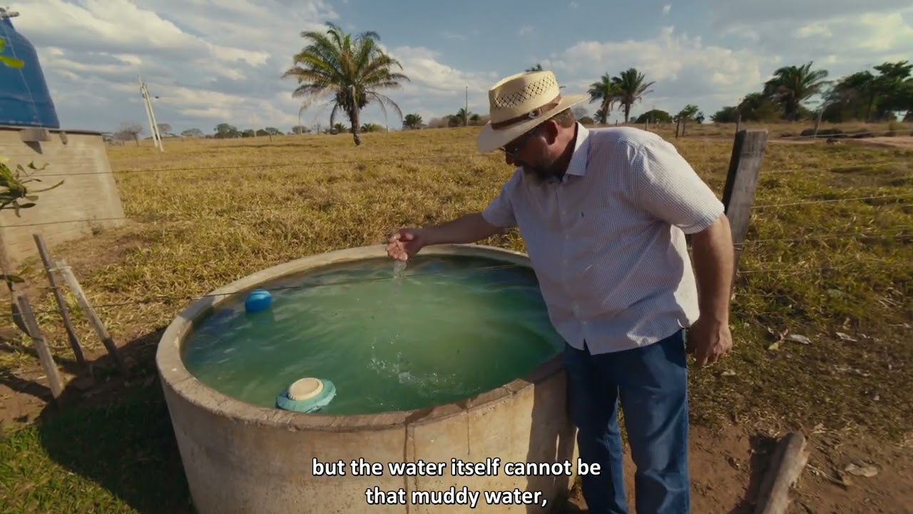 IDH - Produção Sustentável de Bezerros 2025 - São José dos Quatro Marcos - Silvio Monês